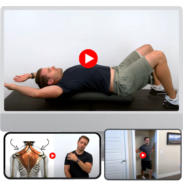 Physiotherapist's Daily Plan — Free Gift